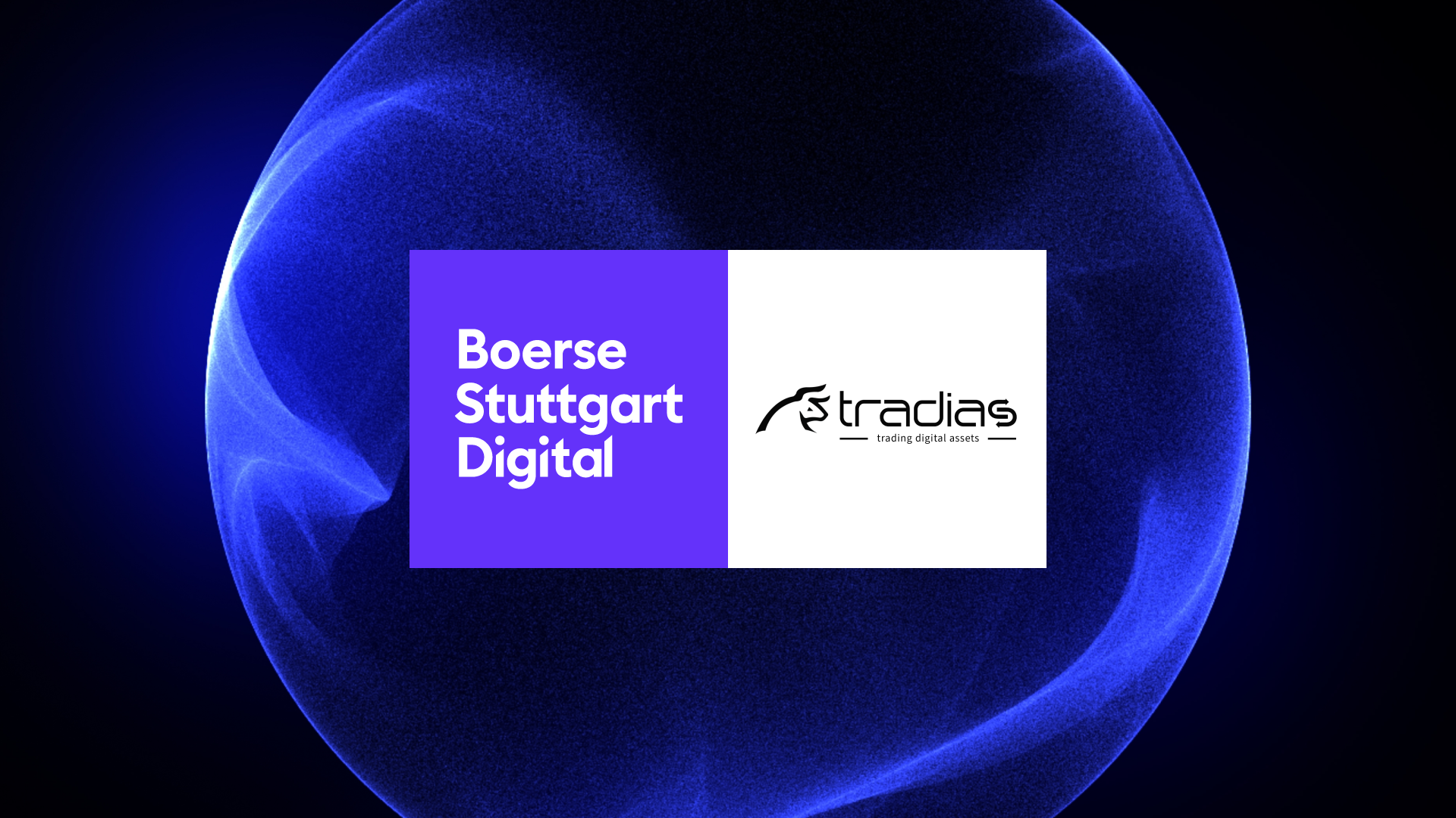 BSD_tradias_Press Image.png